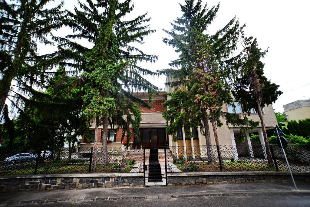 Отель Casa Negustorului Дева Экстерьер фото
